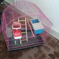 قفس پرنده|لوازم جانبی حیوانات|رباطکریم, شهرک صنعتی پرند|دیوار