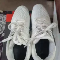 کفش والیبال