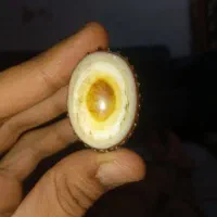 معین زاده کوکب|جواهرات|اهواز, بهارستان|دیوار