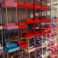 باکس شیشه ای|گل مصنوعی|شیراز, سفیرشمالی|دیوار