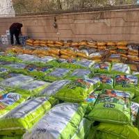 اصلاح زمین تغذیه صحیح درخت حفظ شکوفه