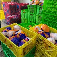 توزیع مرغ شمال|خوردنی و آشامیدنی|قم, پامنار|دیوار