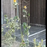 فروش آپارتمان دوخوابه مسکن ملی بهارستان|پیش‌فروش املاک|اصفهان, بهارستان|دیوار