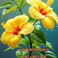 فروش خط روند همراه اول