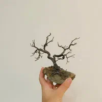 مجسمه درخت سیمی کوچک|کلکسیون و سرگرمی|محمدشهر, ولدآباد|دیوار