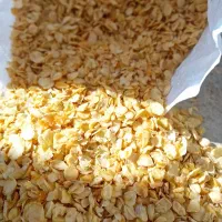 فروش انواع خلال سیر عمده