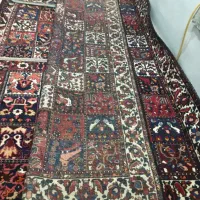 قالی دسبافت|فرش|شهرضا, |دیوار