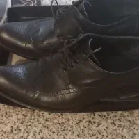 کفش مردانه|کیف، کفش، کمربند|شیراز, شهرک سراج‎|دیوار