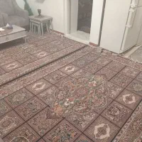 دوعددفرش شش متری|فرش|رشت, پیرکلاچای|دیوار