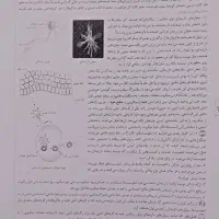 زیست و شیمی یازدهم خیلی سبز هردو فقط ۱۲۰ هزارتومان|کتاب و مجله آموزشی|قم, شاه ابراهیم|دیوار