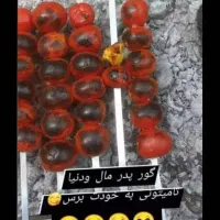 کمک آشپز