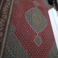 فرش|گلیم، جاجیم، گبه|نقده, |دیوار