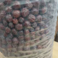 پخش و فروش عناب درجه ۱