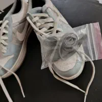 کفش|کیف، کفش، کمربند|قائم‌شهر, |دیوار