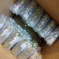 گیفت حنابندان عروسی گل حنا بندان