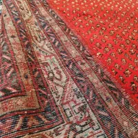 فرس دستبافت|فرش|تهران, المهدی|دیوار