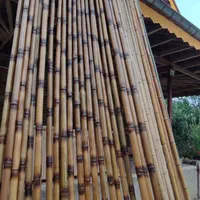 چوب سندبلاست شده|مصالح و تجهیزات ساختمان|رشت, نامجو|دیوار