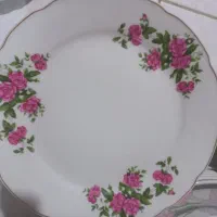 ظروف پذیرایی