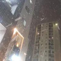 همخونه-خانوم-میخوام