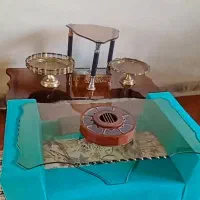 میزوسط همراه یک عددعسلی