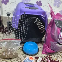 وسایل گربه