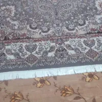 قالی ۱۲ متری|فرش|فاضل آباد, |دیوار