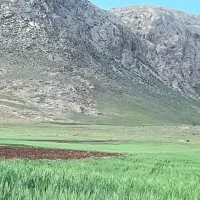 زمین کشاورزی برر جاده کرسف به سهرورد