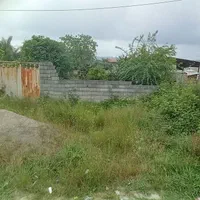 ۳۶۰ متر/ بر ۱۲/ جنب هتل رستوران کبریا/سند تک برگ|فروش زمین و ملک کلنگی|شیرگاه, |دیوار