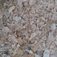 فروش نان خشک تمیز و بدون کپک