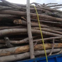 خریدار چوب درخت،تیر سقفی،پالت،ریشه،فروش زغال کبابی|خدمات باغبانی و درختکاری|هشتگرد, هشتگرد قدیم|دیوار