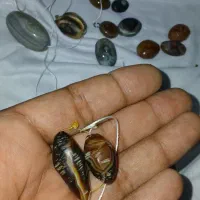 سنگ|جواهرات|آبادان, |دیوار