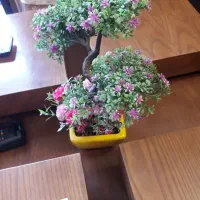 گل مصنوعی|گل مصنوعی|اصفهان, صدف|دیوار