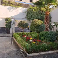 باغبانی باغچه گلدون وهرسکاری سم پاشی  گیاهان|خدمات باغبانی و درختکاری|تهران, جهاد|دیوار