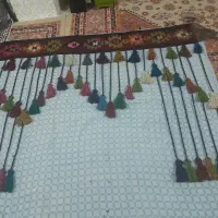 پرده مهره دار