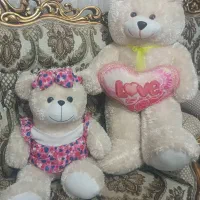 خرس بزرگ و کوچک پشمالو