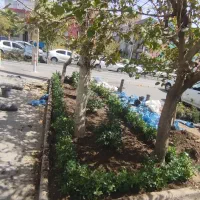 خدمات حرفه‌ای باغبانی و فضای سبز  در محیط شما