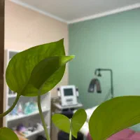 اجاره اتاق فیشال