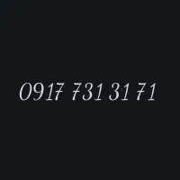 09177313171