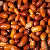 سنجد|خوردنی و آشامیدنی|تسوج, |دیوار