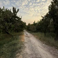 فروش-زمین-و-باغ