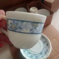 سوپخوری و کاسه ارکوپال|ظروف سرو و پذیرایی|مسجد سلیمان, |دیوار