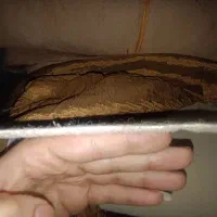 موکت کبریتی|موکت|تهران, خزانه|دیوار