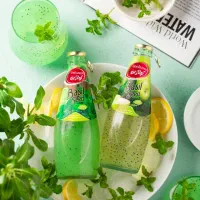 آبمیوه مخلوط با تخم شربتی در۱۱طعم باطعم واقعی میوه|خوردنی و آشامیدنی|شیراز, لب آب|دیوار