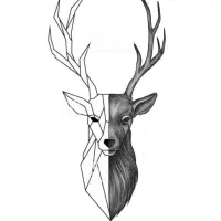 تتو اقساطی قزوین|خدمات آرایشگری و زیبایی|محمدیه-قزوین, |دیوار