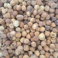 انجیر|عمده‌فروشی|دشمن زیاری, |دیوار