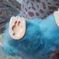 عروسک لبو بو نوی نو|اسباب‌‌بازی|تهران, یافت‌آباد|دیوار