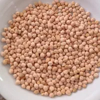 نخود محلی بشرط