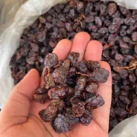کشمش آفتابی و شیره خرما|عمده‌فروشی|تهران, کرمان|دیوار