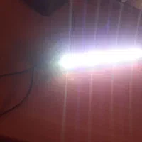 زایشگاه ماهی و چراغ و یا اکواریوم معاوضه پرنده یا|ماهی|تبریز, |دیوار