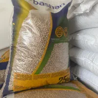 نخود ترکیه مخصوص کاشت سایز ۱۰